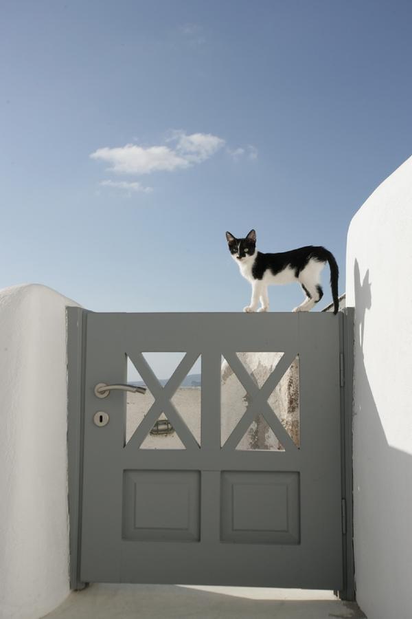 White Suite Oia  Exterior photo